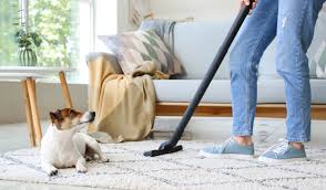 How to Minimize Pet Hair on Carpets